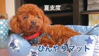 夏支度