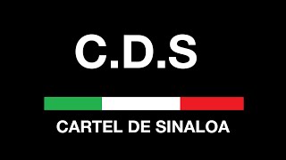 The Unseen Faces Of Cartel De Sinaloa I Doent