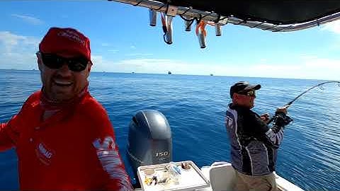 ActiveTarget: Fishing with Live Sonar