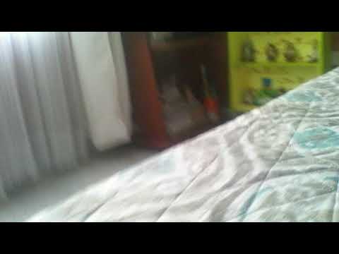 Mijugete.    Se.     Mueve.      Parte.   1