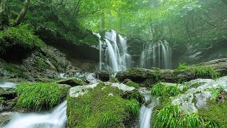 Rahatlatıcı Piyano Müziği, Uyku Müziği, Güzel Piyano Müziği, Meditasyon, Uyku, Çalışma, Rahatlama