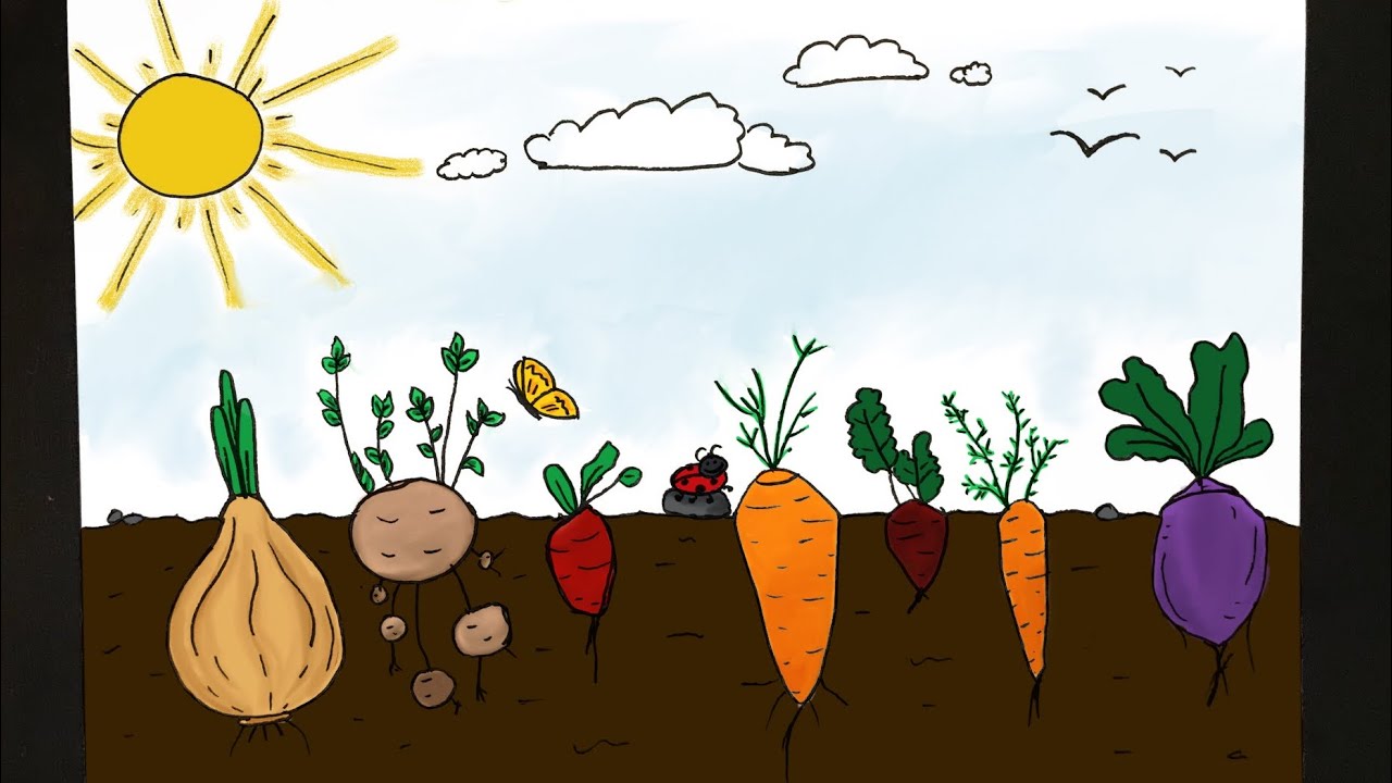 Vegetable Garden Farm Drawing Background Drop for Kid S TV Show, Animation,  and Art Class Tutorials. Stock Illustration - Illustration of farm,  plating: 231968914