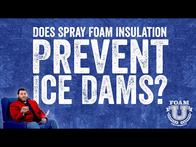 Does Spray Foam Keep out Mice, Rodents and Pests?