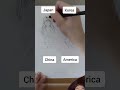 #drawing #art #howtodraw #draw #funny #tutorial #howtodraweasy #easydrawing #drawingtutorial