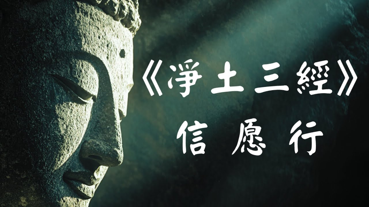 一句佛号，为何能横超三界？四十分钟带你读懂净土宗的“他力”与“自力”【无住禅心】