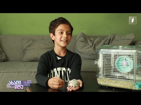 #ახალიდღე რუბრიკა „აკის პარკი“ მცირე ზომის ცხოველებზე მოგითხრობთ