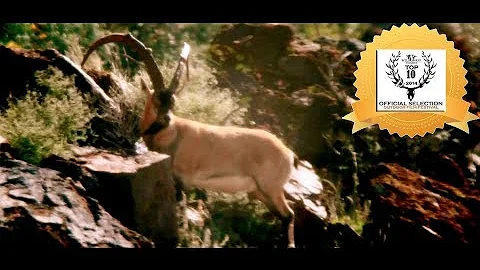 ZAC GRIFFITH IBEX HUNT: "Season 2, Part 1"