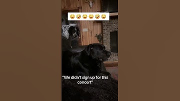 STOP IT #reaction #react #myfunnyreaction #myreaction #tiktok #duet #funny