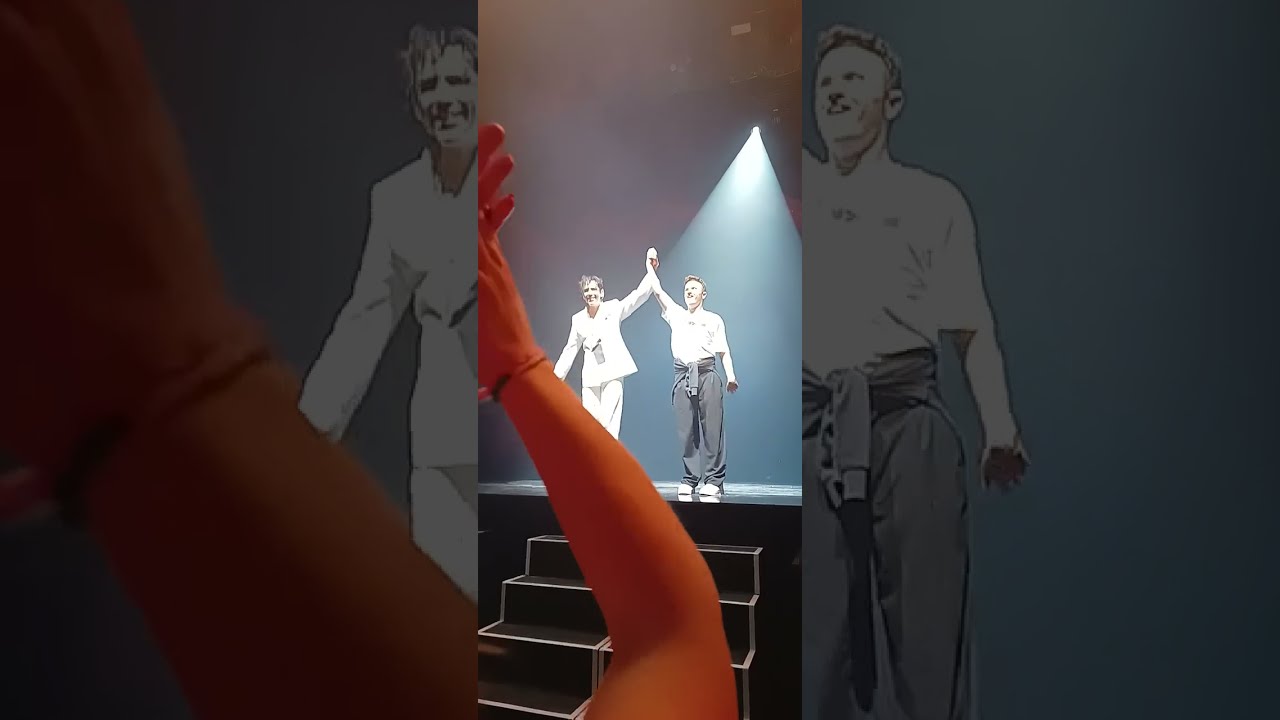 Mika Lille 03/03/2024 Elle Me Dit with a fan on the stage (Vianney)