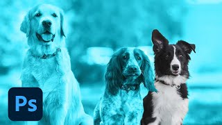 Essential Photoshop Tips for Designers with Mark Heaps | Adobe Creative Cloud
