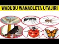 WADUDU 10 Wanaoleta UTAJIRI Ndani Ya NYUMBA Fanya HIVI Ukiwaona