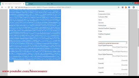 How to design primers and probes: Primer Designing using Primer3Plus