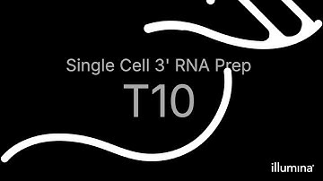 Illumina Single Cell 3
