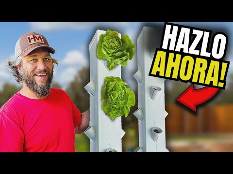 DIY: Cómo Hacer Tu Propio Huerto Vertical en Casa Paso a Paso!
