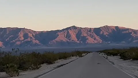 Road cruising for snakes in the Mojave desert May 10 2025
