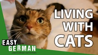 Living with Cats | Super Easy German (132)