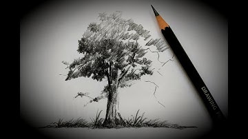 How to Draw a Tree | Easy Tree Drawing Tutorial for Beginners | Tree Drawing 🌳
