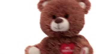 One Direction Dancing Bear from Build-A-Bear Workshop