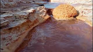 harusnya kau kembali] wulandary ft arief ]