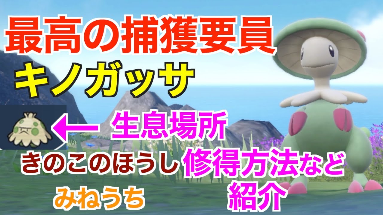 ポケモンsv 最高の捕獲要員キノガッサの作り方と注意点紹介します おすすめキノココの出現場所 みねうち キノコのほうし 修得方法 Youtube