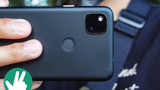 Pixel 4a Real World Camera Test