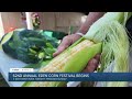 Eden Corn Festival Kicks Off with 'Corn in the USA' Theme, Celebrating America's 250th Anniversary