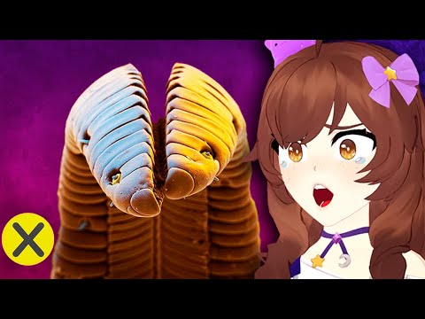 10 Cosas bajo el Microscopio - Nimu REACCIONA a XpressTV