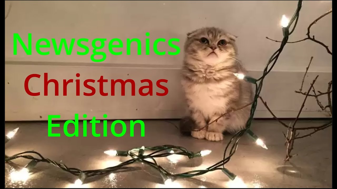 Mewgenics Newsgenics: Bosses, Item Pools, and More!