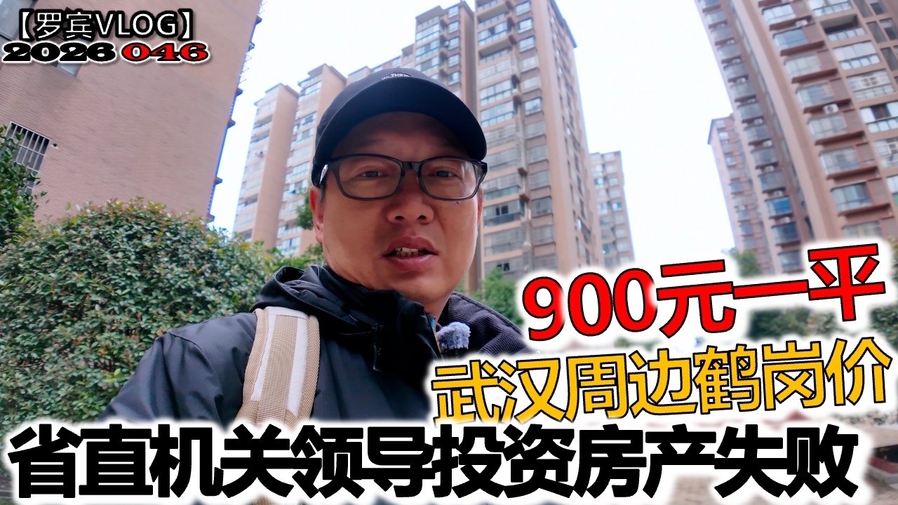 省机关干部养老投资失败，十年前到武汉周边买房，现在房价变成湖北鹤岗【罗宾VLOG】