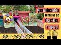 Germinando semillas de Cactus y Flores, germinado directo de la tuna del Cactus