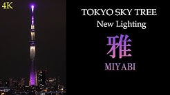 Live Channel Yk Youtube