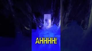 This is Cold! #dunktank - The Dunk Tank Company Information