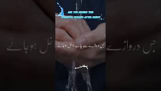 Say This After Wudu And All Eight Doors Of Jannah Will Open For You