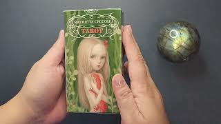 Ceccoli Tarot   Full Flip Through