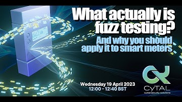What actually is fuzz testing and how you apply it to smart metering?