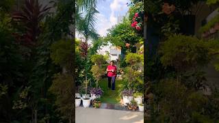 #home #garden #plants #flowers #shorts #gardeningandcreativity #homegarden