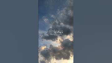 ﴿واصبر علي ما يقولون واهجرهم هجرا جميلا﴾القارئ عبدالرحمن مسعد🤍