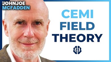 Consciousness IS the Brain