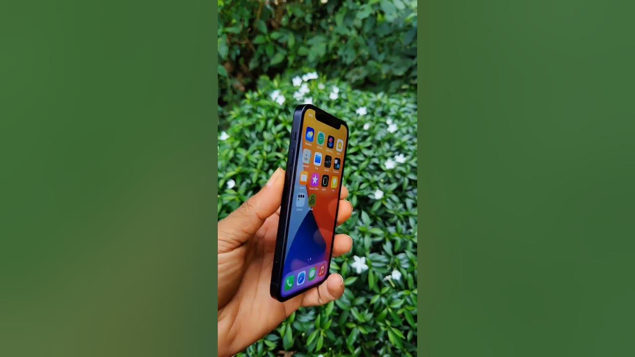 %F0%9F%8D%8E%F0%9F%90%89 12 mini %F0%9F%91%8C 37999 only - YouTube