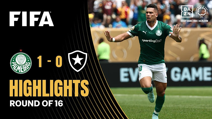 Palmeiras vs Botafogo Highlights | FIFA Club World Cup 2025