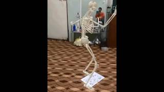 Nithya Kirtan Skeleton Dance