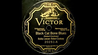 Vignette de la vidéo "Bobby Leecan & Robert Cooksey - Black Cat Bone Blues (1926)"