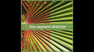 Line Segment Detector