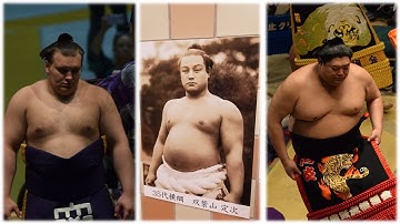How to beat Aonishiki and Onosato? (Sumo News, Dec 19th)