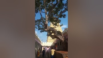 Mysore chamundeshwari temple inside view