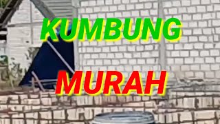 Batu Yang Banyak Dicari Orang Akhirnya Dapet Juga..