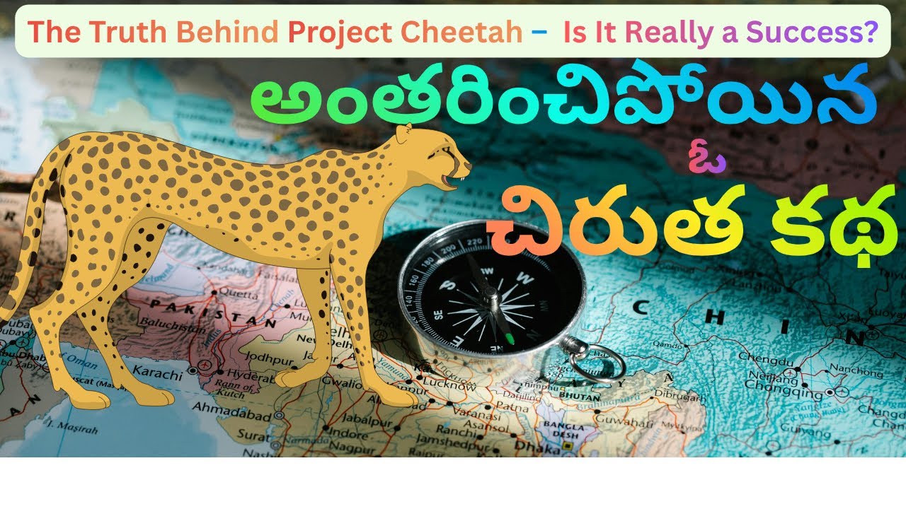 🌿Project Cheetah – India’s Wild Comeback Story!🐆🌿