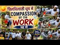दिल्ली की चिल्लाती गर्मी में टैंग शरबत का WORK 