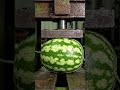 hydraulic press crushing watermelon 🍉 short video