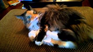 Brianna 20120902 002